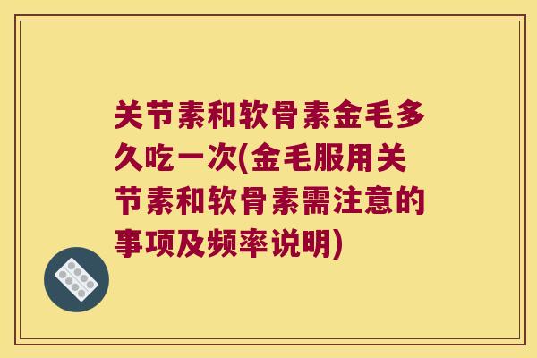关节素和软骨素金毛多久吃一次(金毛服用关节素和软骨素需注意的事项及频率说明)