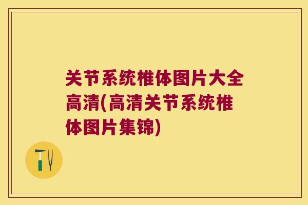 关节系统椎体图片大全高清(高清关节系统椎体图片集锦) 关节系统椎体图片大全高清(高清关节系统椎体图片集锦)