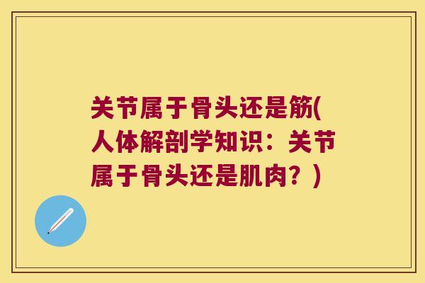 关节属于骨头还是筋(人体解剖学知识：关节属于骨头还是肌肉？)