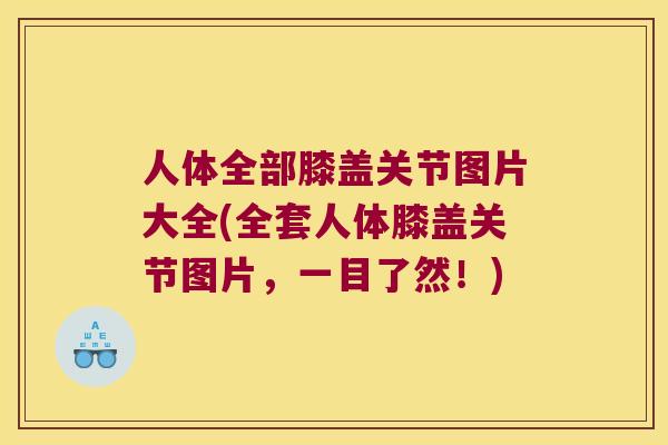 人体全部膝盖关节图片大全(全套人体膝盖关节图片，一目了然！)