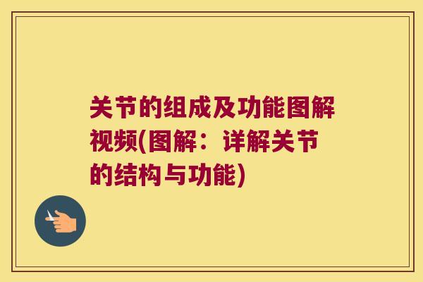 关节的组成及功能图解视频(图解：详解关节的结构与功能)