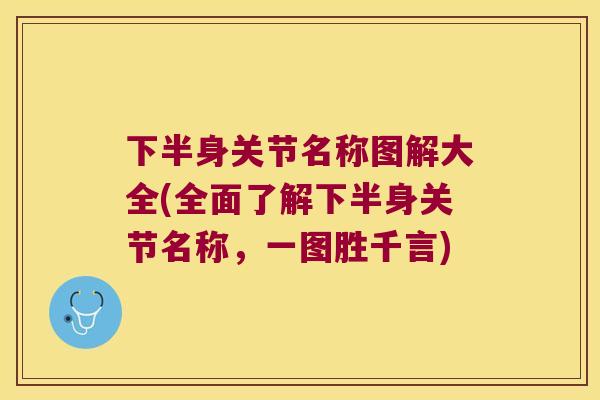 下半身关节名称图解大全(全面了解下半身关节名称，一图胜千言)