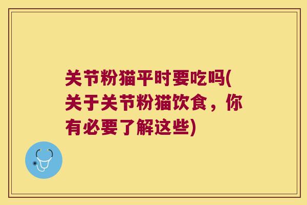 关节粉猫平时要吃吗(关于关节粉猫饮食，你有必要了解这些)