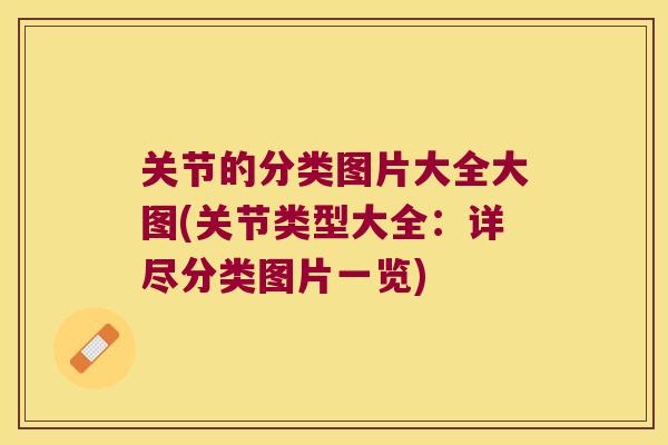 关节的分类图片大全大图(关节类型大全：详尽分类图片一览)