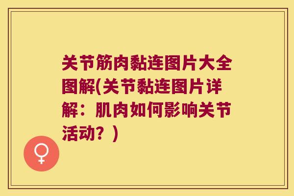 关节筋肉黏连图片大全图解(关节黏连图片详解:肌肉如何影响关节活动?) 关节筋肉黏连图片大全图解(关节黏连图片详解:肌肉如何影响关节活动?)