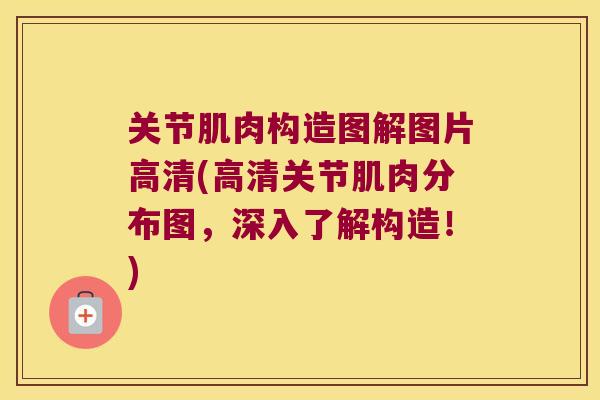 关节肌肉构造图解图片高清(高清关节肌肉分布图,深入了解构造!) 关节肌肉构造图解图片高清(高清关节肌肉分布图,深入了解构造!)
