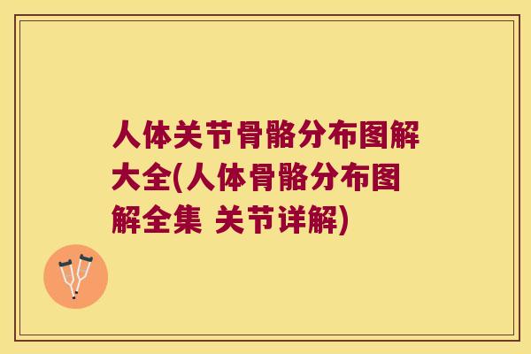 人体关节骨骼分布图解大全(人体骨骼分布图解全集 关节详解) 人体关节骨骼分布图解大全(人体骨骼分布图解全集 关节详解)