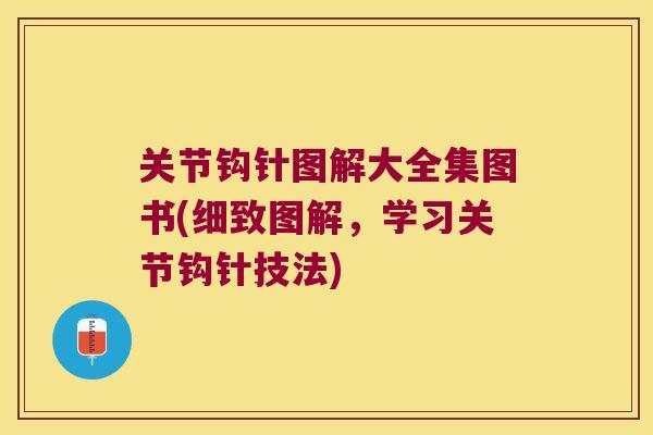 关节钩针图解大全集图书(细致图解,学习关节钩针技法) 关节钩针图解大全集图书(细致图解,学习关节钩针技法)