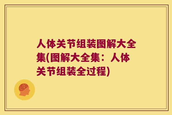 人体关节组装图解大全集(图解大全集：人体关节组装全过程)