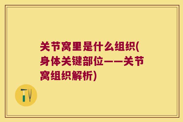 关节窝里是什么组织(身体关键部位——关节窝组织解析) 关节窝里是什么组织(身体关键部位——关节窝组织解析)
