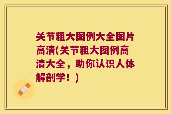 关节粗大图例大全图片高清(关节粗大图例高清大全，助你认识人体解剖学！)