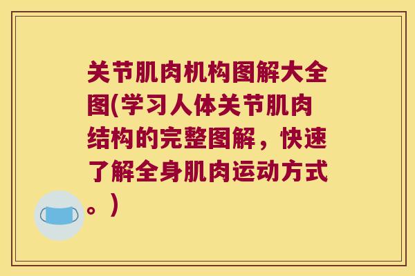 关节肌肉机构图解大全图(学习人体关节肌肉结构的完整图解,快速了解全身肌肉运动方式。) 关节肌肉机构图解大全图(学习人体关节肌肉结构的完整图解,快速了解全身肌肉运动方式。)