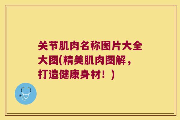 关节肌肉名称图片大全大图(精美肌肉图解，打造健康身材！)