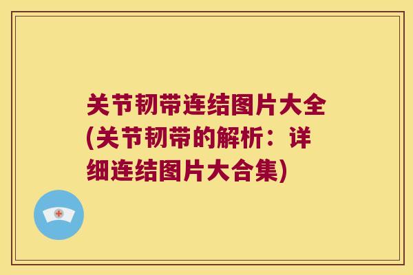 关节韧带连结图片大全(关节韧带的解析：详细连结图片大合集)