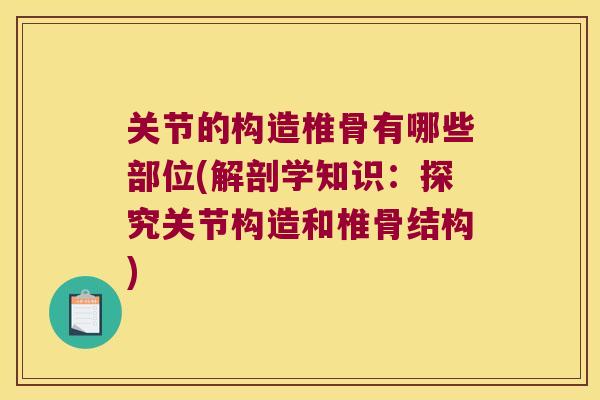 关节的构造椎骨有哪些部位(解剖学知识:探究关节构造和椎骨结构) 关节的构造椎骨有哪些部位(解剖学知识:探究关节构造和椎骨结构)