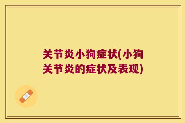 小狗症状(小狗的症状及表现)
