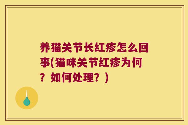 养猫关节长红疹怎么回事(猫咪关节红疹为何？如何处理？)