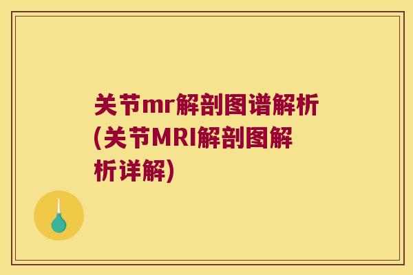 关节mr解剖图谱解析(关节MRI解剖图解析详解) 关节mr解剖图谱解析(关节MRI解剖图解析详解)
