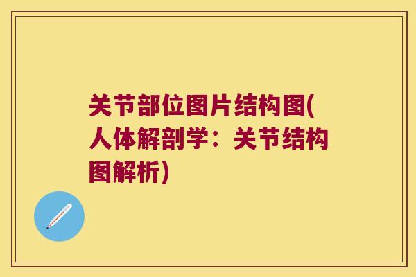 关节部位图片结构图(人体解剖学:关节结构图解析) 关节部位图片结构图(人体解剖学:关节结构图解析)