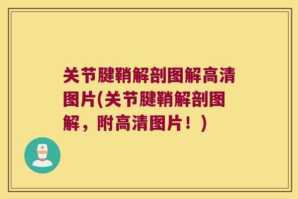 关节腱鞘解剖图解高清图片(关节腱鞘解剖图解,附高清图片!) 关节腱鞘解剖图解高清图片(关节腱鞘解剖图解,附高清图片!)