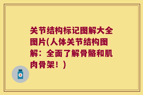 关节结构标记图解大全图片(人体关节结构图解：全面了解骨骼和肌肉骨架！)