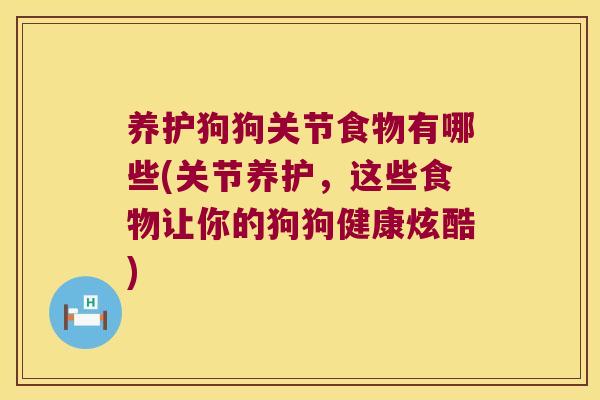 养护狗狗关节食物有哪些(关节养护，这些食物让你的狗狗健康炫酷)