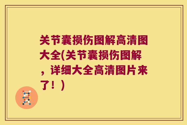 关节囊损伤图解高清图大全(关节囊损伤图解，详细大全高清图片来了！)