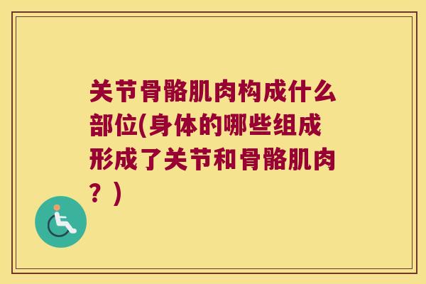 关节骨骼肌肉构成什么部位(身体的哪些组成形成了关节和骨骼肌肉？)