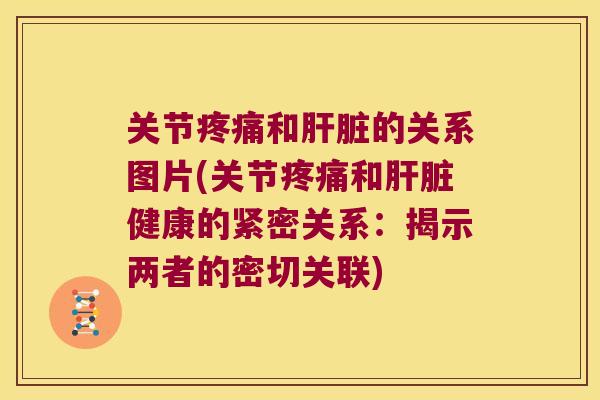关节和的关系图片(关节和健康的紧密关系:揭示两者的密切关联) 关节和的关系图片(关节和健康的紧密关系:揭示两者的密切关联)