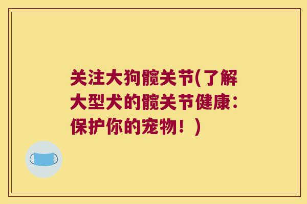 关注大狗髋关节(了解大型犬的髋关节健康：保护你的宠物！)