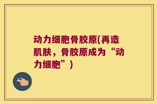 动力细胞骨胶原(再造,骨胶原成为“动力细胞”) 动力细胞骨胶原(再造,骨胶原成为“动力细胞”)