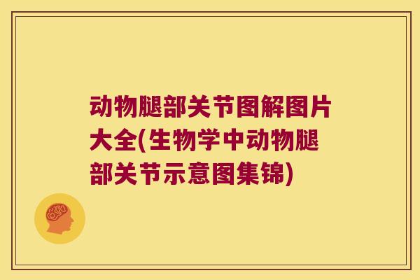 动物腿部关节图解图片大全(生物学中动物腿部关节示意图集锦) 动物腿部关节图解图片大全(生物学中动物腿部关节示意图集锦)