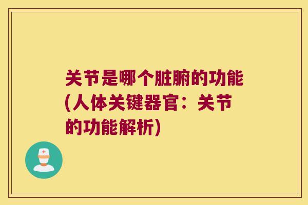 关节是哪个脏腑的功能(人体关键器官：关节的功能解析)