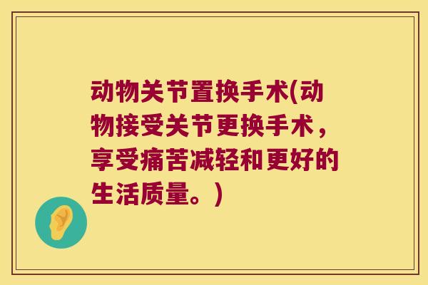 动物关节置换手术(动物接受关节更换手术，享受痛苦减轻和更好的生活质量。)