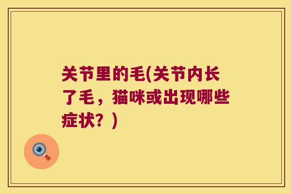 关节里的毛(关节内长了毛，猫咪或出现哪些症状？)