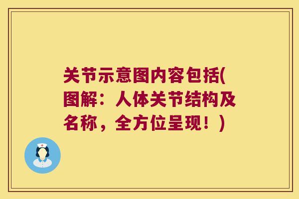 关节示意图内容包括(图解：人体关节结构及名称，全方位呈现！)