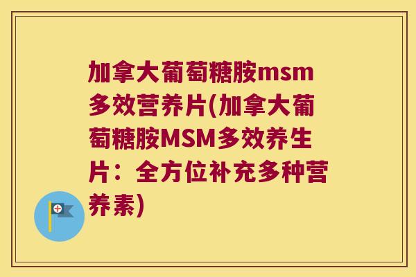 加拿大葡萄糖胺msm多效营养片(加拿大葡萄糖胺MSM多效养生片：全方位补充多种营养素)