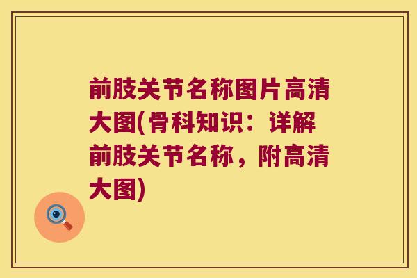前肢关节名称图片高清大图(骨科知识:详解前肢关节名称,附高清大图) 前肢关节名称图片高清大图(骨科知识:详解前肢关节名称,附高清大图)