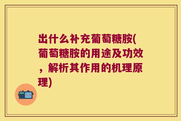 出什么补充葡萄糖胺(葡萄糖胺的用途及功效，解析其作用的机理原理)