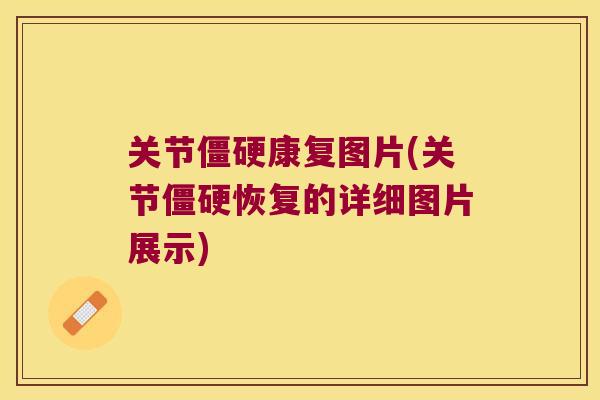 关节康复图片(关节恢复的详细图片展示) 关节康复图片(关节恢复的详细图片展示)