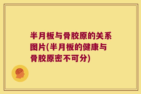 与骨胶原的关系图片(的健康与骨胶原密不可分) 与骨胶原的关系图片(的健康与骨胶原密不可分)