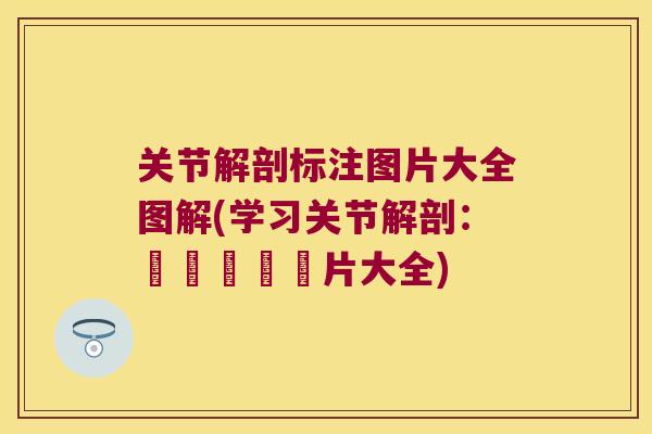 关节解剖标注图片大全图解(学习关节解剖:詳細標註圖片大全) 关节解剖标注图片大全图解(学习关节解剖:詳細標註圖片大全)