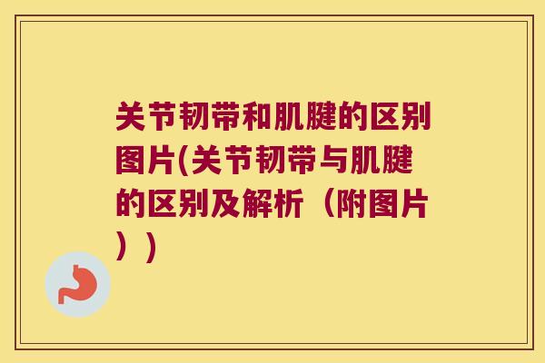 关节韧带和肌腱的区别图片(关节韧带与肌腱的区别及解析（附图片）)