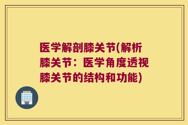 医学解剖膝关节(解析膝关节:医学角度透视膝关节的结构和功能) 医学解剖膝关节(解析膝关节:医学角度透视膝关节的结构和功能)