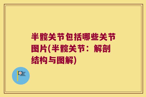半髋关节包括哪些关节图片(半髋关节:解剖结构与图解) 半髋关节包括哪些关节图片(半髋关节:解剖结构与图解)