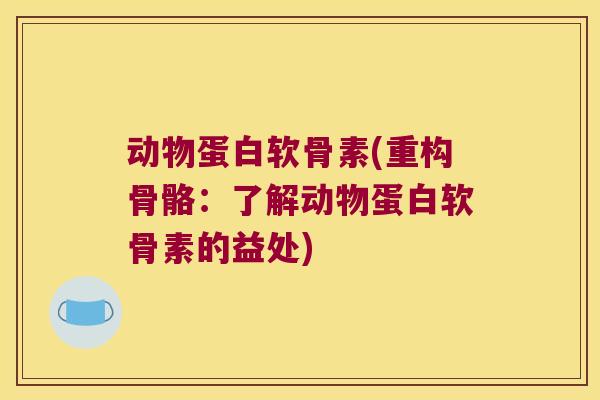 动物蛋白软骨素(重构骨骼：了解动物蛋白软骨素的益处)