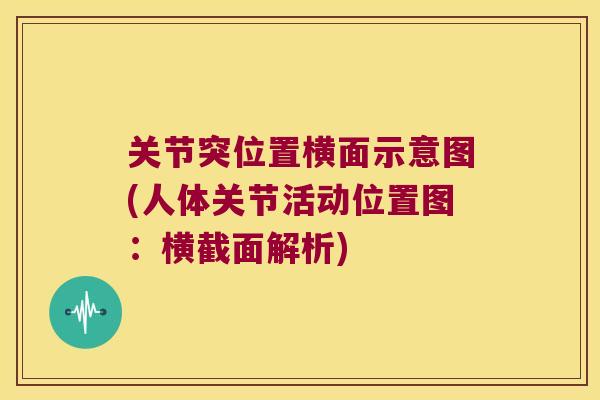 关节突位置横面示意图(人体关节活动位置图：横截面解析)