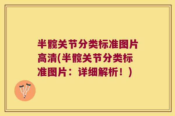 半髋关节分类标准图片高清(半髋关节分类标准图片:详细解析!) 半髋关节分类标准图片高清(半髋关节分类标准图片:详细解析!)