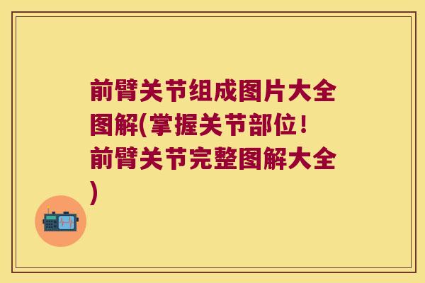 前臂关节组成图片大全图解(掌握关节部位!前臂关节完整图解大全) 前臂关节组成图片大全图解(掌握关节部位!前臂关节完整图解大全)