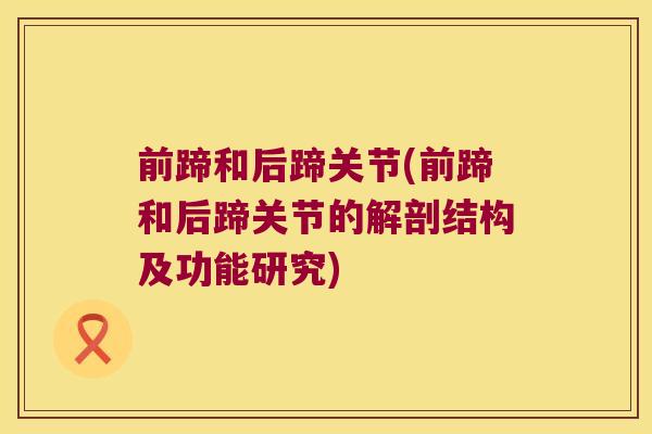 前蹄和后蹄关节(前蹄和后蹄关节的解剖结构及功能研究)